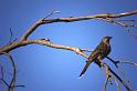 WT 0400 080-13 Australia